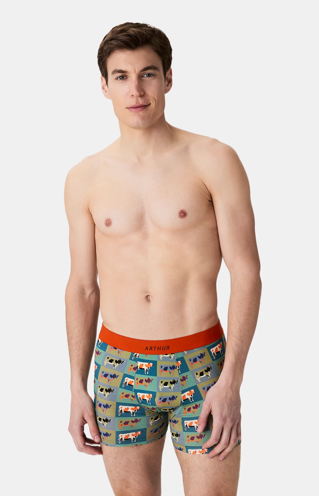 Image du produit 2