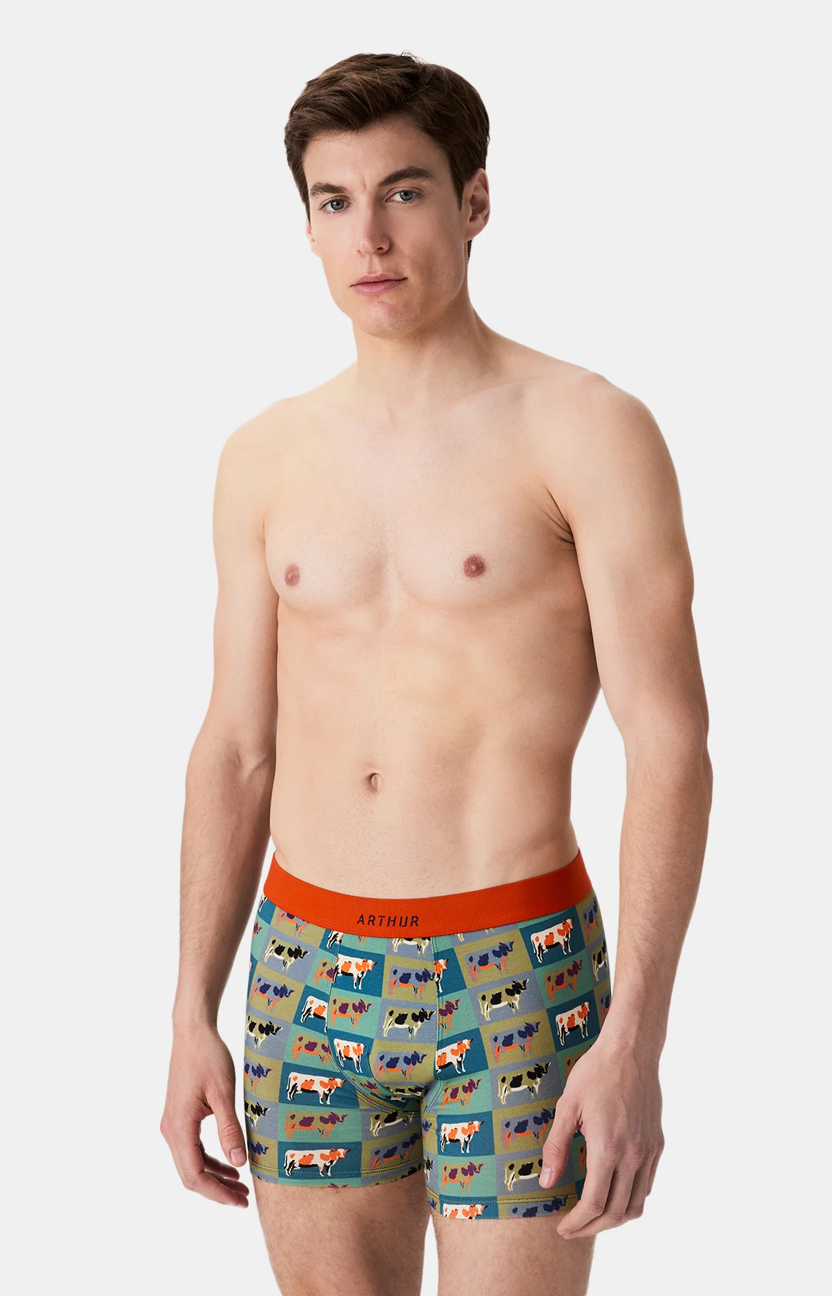 Image du produit 4