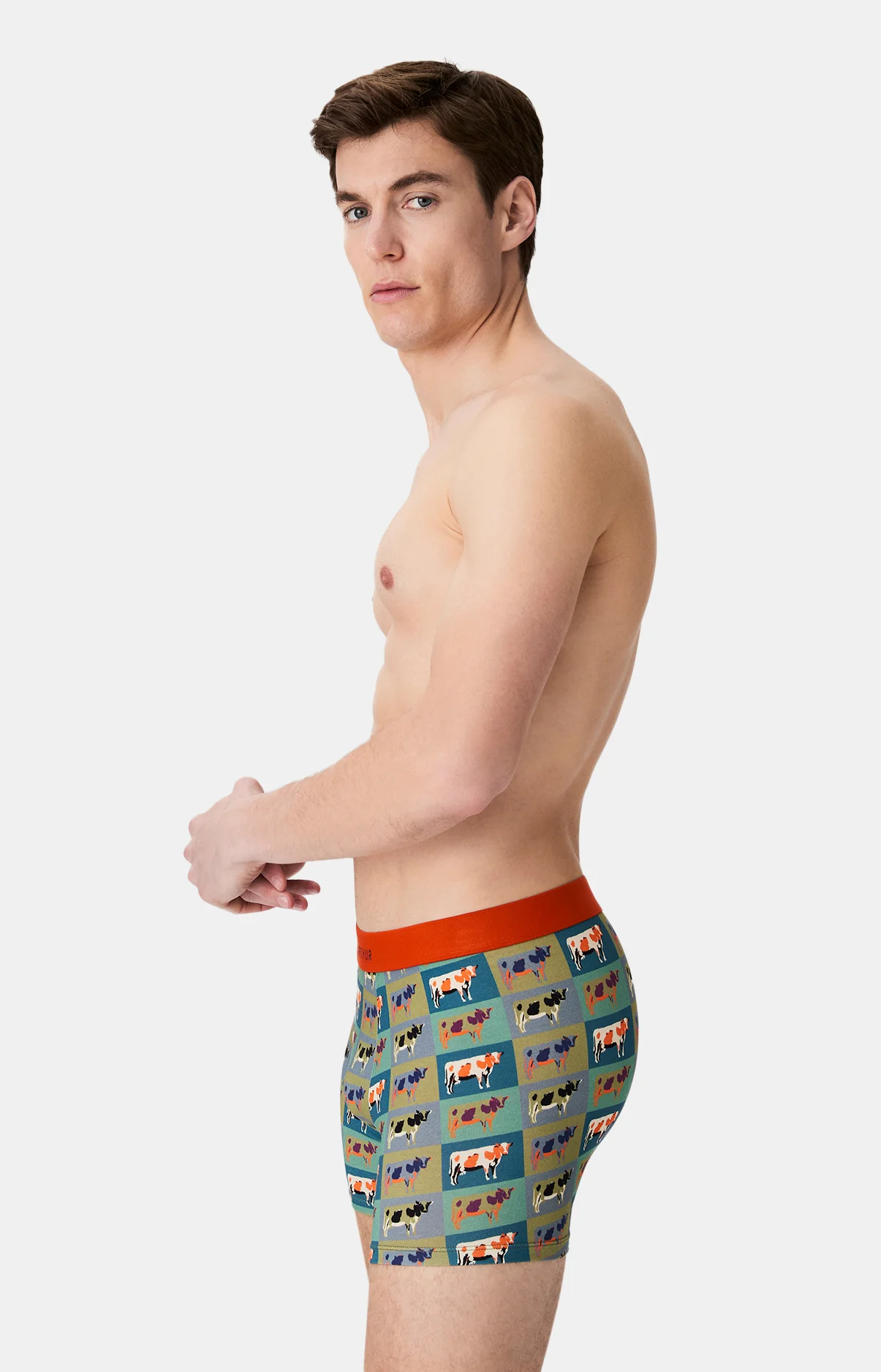 Image du produit 5
